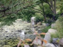 DSCN1790