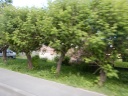 DSCN2542